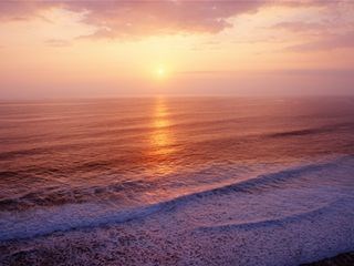 fb23da0cd0ae5a366a73ca870d005b42_w320_h240_c1_t0.p